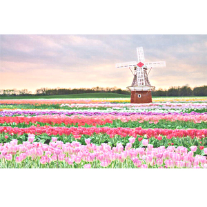 国产极品一区二区美女人体羞羞漫画
