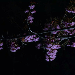 国产极品一区二区美女人体羞羞漫画
